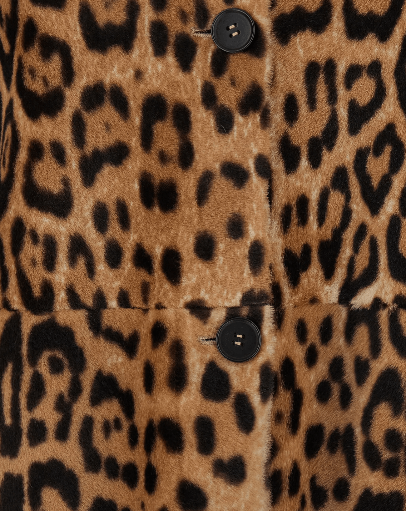 P.A.R.O.S.H. - RTW - Coats and outerwear