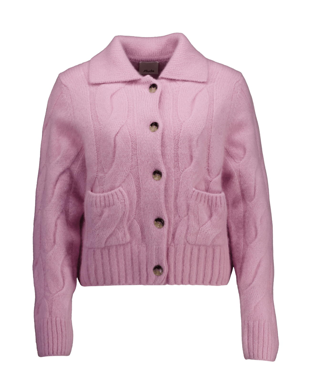 Allude - 