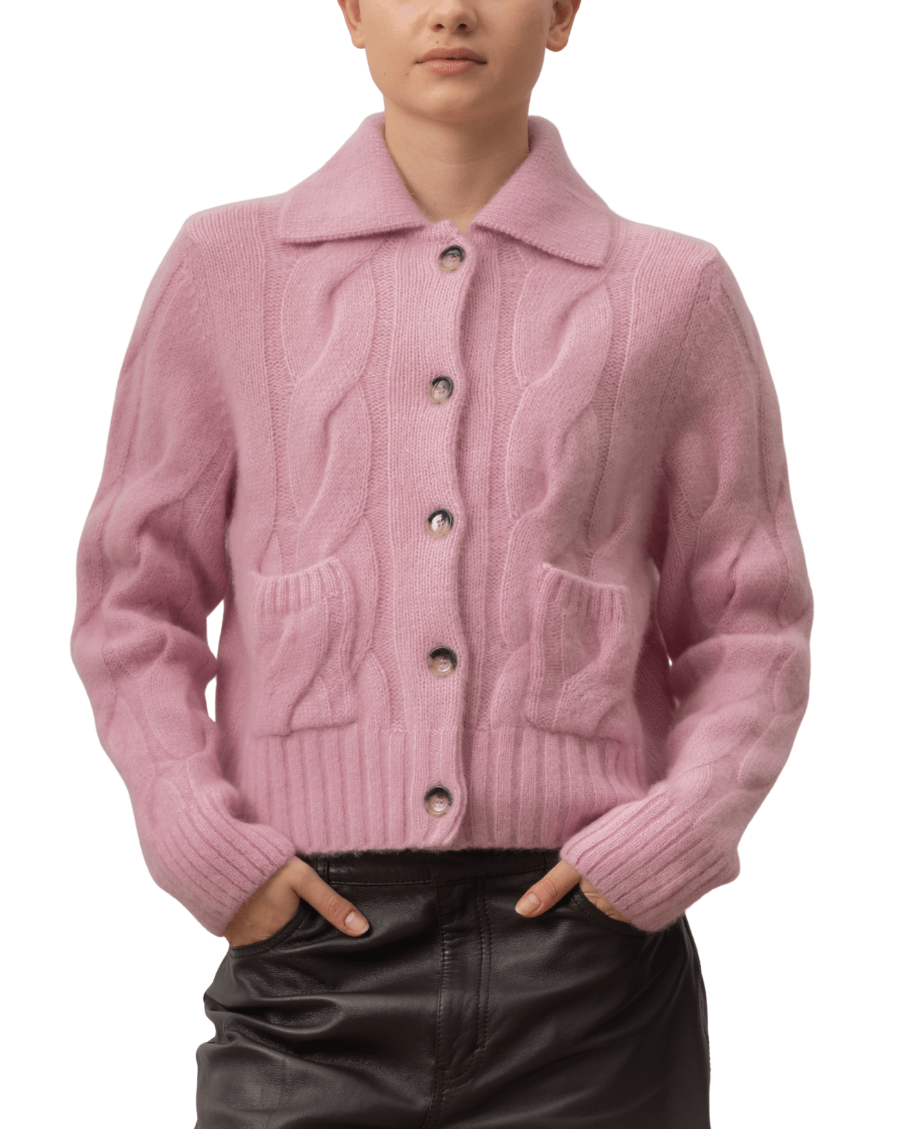 Allude - 