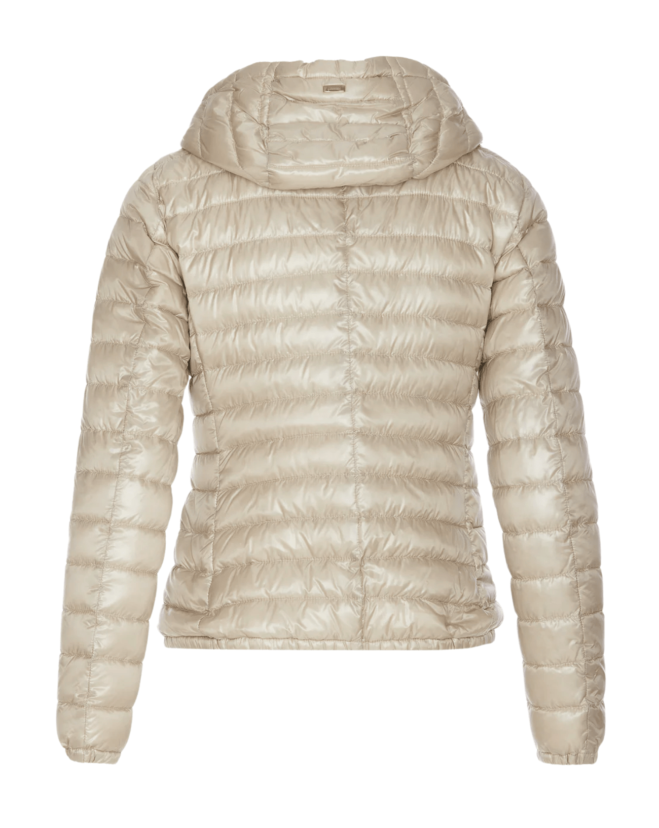 Herno - RTW - Coats and outerwear