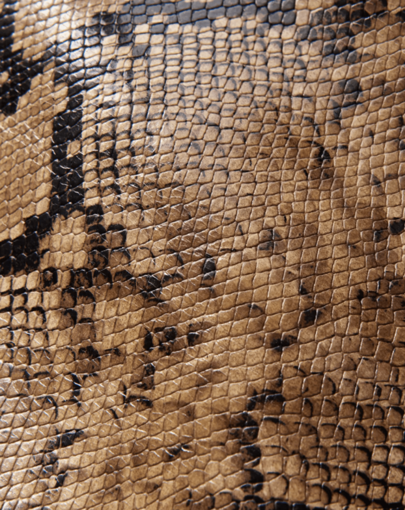 Nili Lotan - Bags SLG - Bags