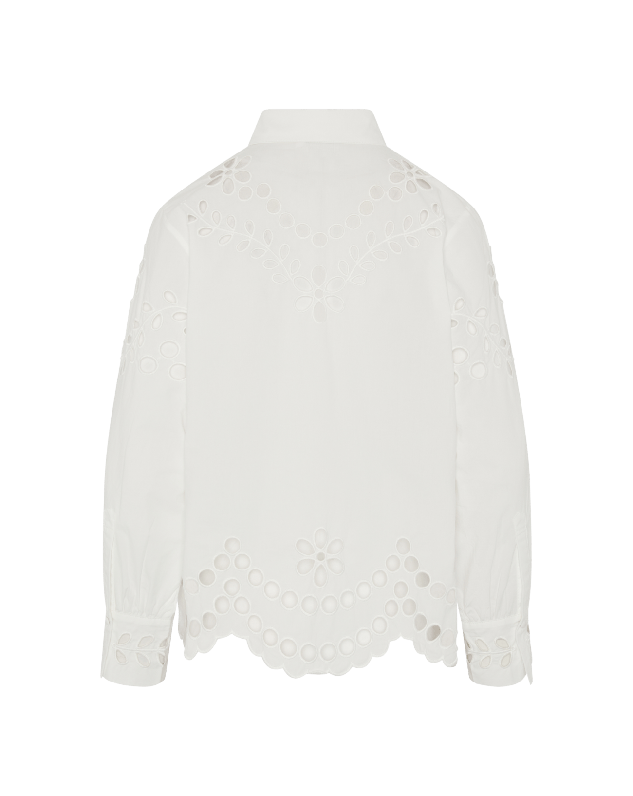 Not Shy - RTW - Shirts