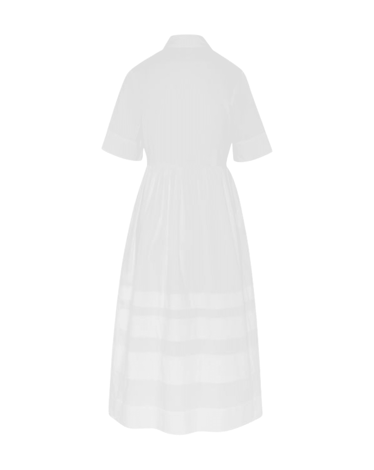 P.A.R.O.S.H. - RTW - Dresses